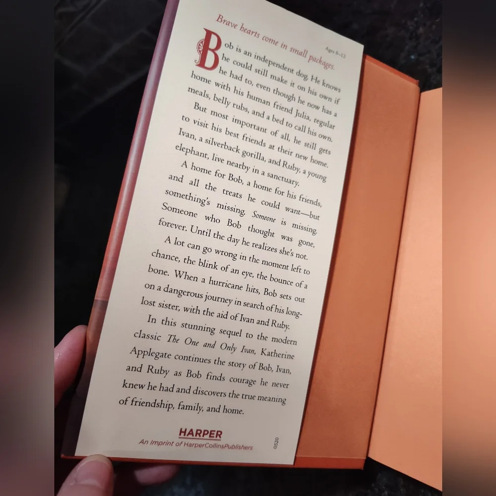 The One and Only Bob Book, Hardcover